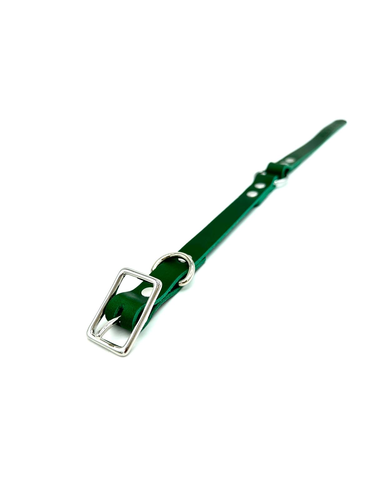 O-Ring Collar Italian Green Leather