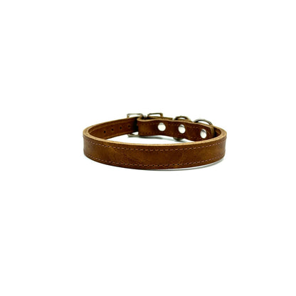 Classic Collar Buffalo Leather