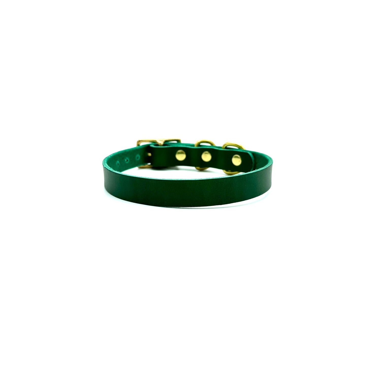 Classic Collar Italian Green Leather