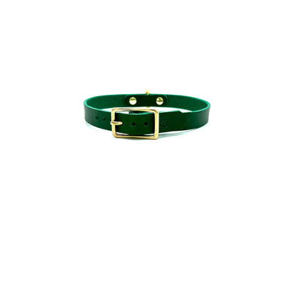 D-Ring Collar Italian Green Leather