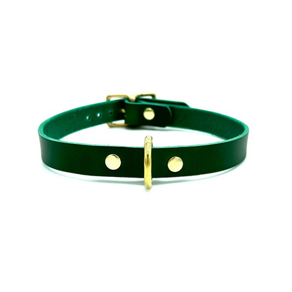 D-Ring Collar Italian Green Leather